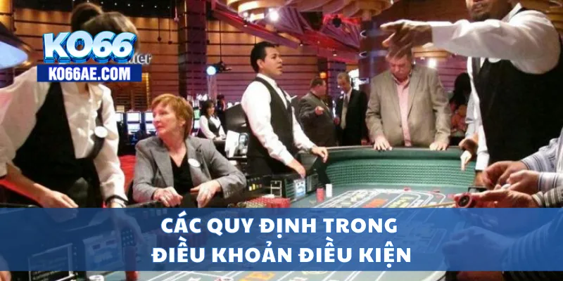 Điều Khoản Điều Kiện KO66 – Quy Định Sử Dụng Chi Tiết, Rõ Ràng 3 Các quy định trong điều khoản điều kiện