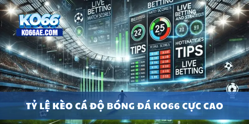Cá Độ Bóng Đá KO66 – Tỷ Lệ Kèo Cao, Đặt Cược Cực Nhanh 4 Tỷ lệ kèo cá độ bóng đá KO66 cực cao